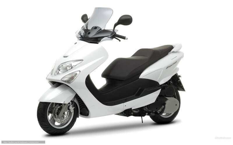 White Scooter — Neutral, Photograph, Seat, Windshield, Headlight