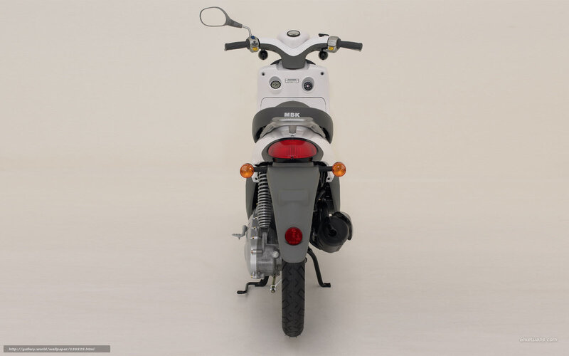 White Scooter Rear View — Neutral