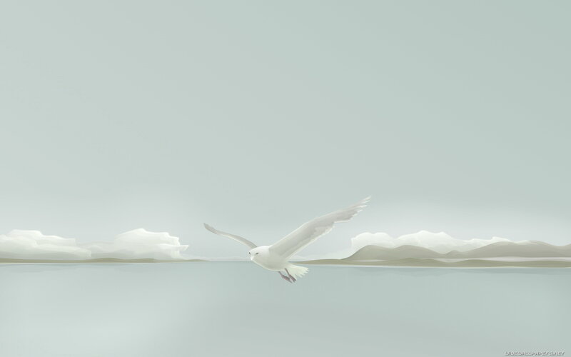 White Seagull Flying