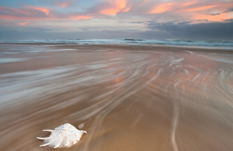 White Seashell on Beach — Pink, Serene