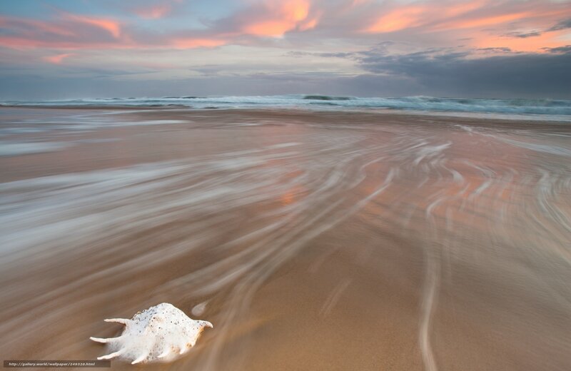 White Seashell on Beach — Pink