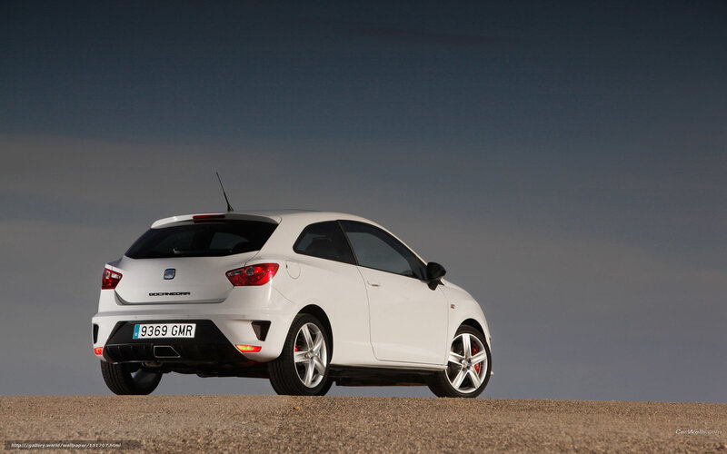 white seat Leon car