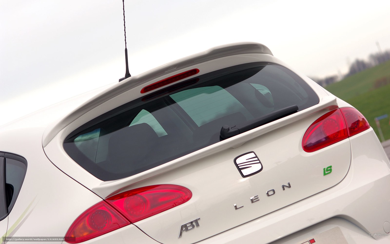 white seat leon rear view