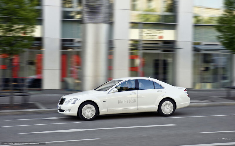 White Sedan Car — Dynamic, Afternoon, Photograph
