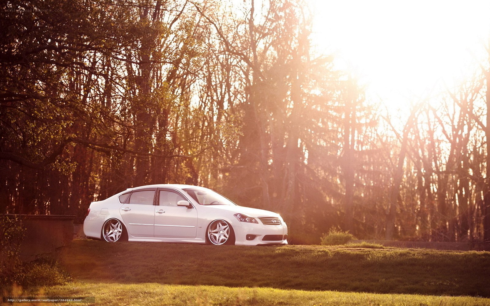 White sedan in forest at sunset