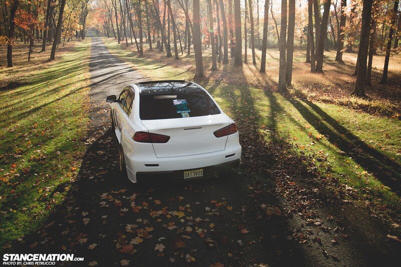White Sedan in Forest