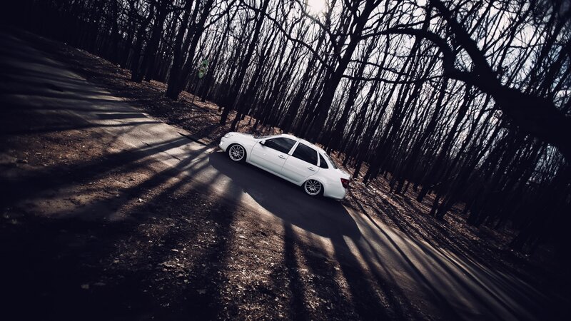 White Sedan on Forest Road