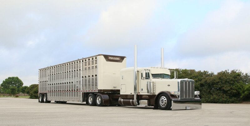 White Semi-truck with Trailer — Calm