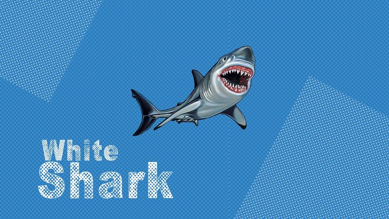 White Shark Illustration — Blue