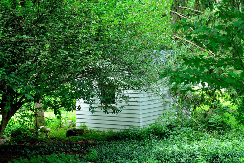 White Shed in Forest
