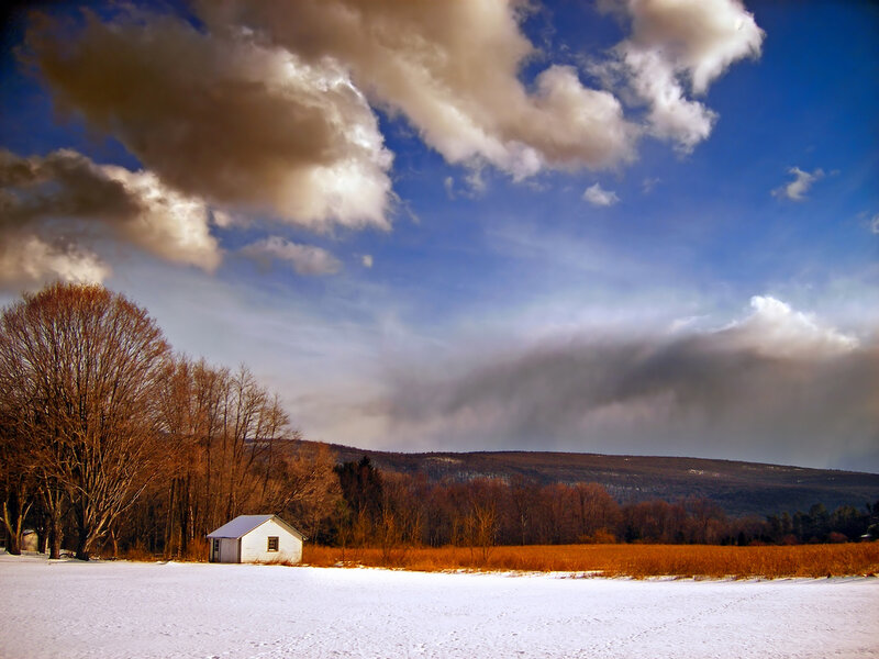 White Shed in Snow