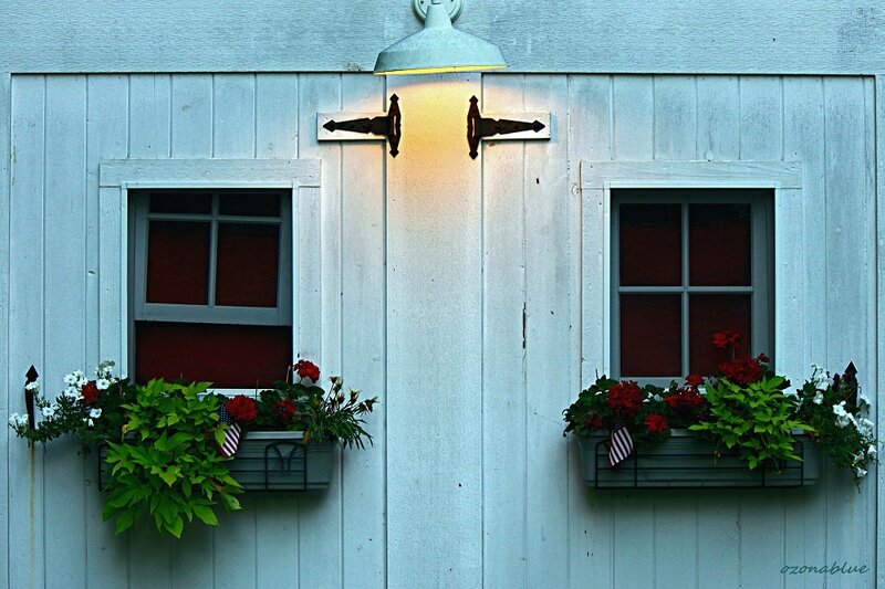 White Shed with Flower Boxes