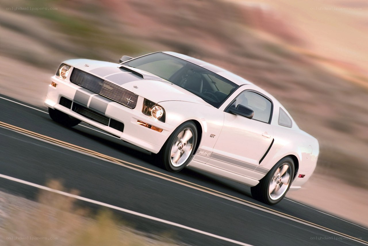 White Shelby GT on a road