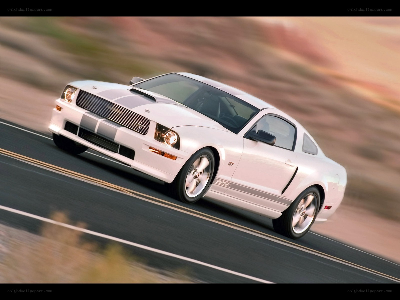 white shelby gt on road