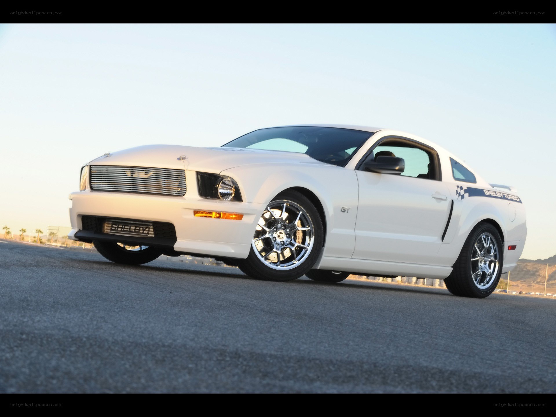 white shelby gt on track