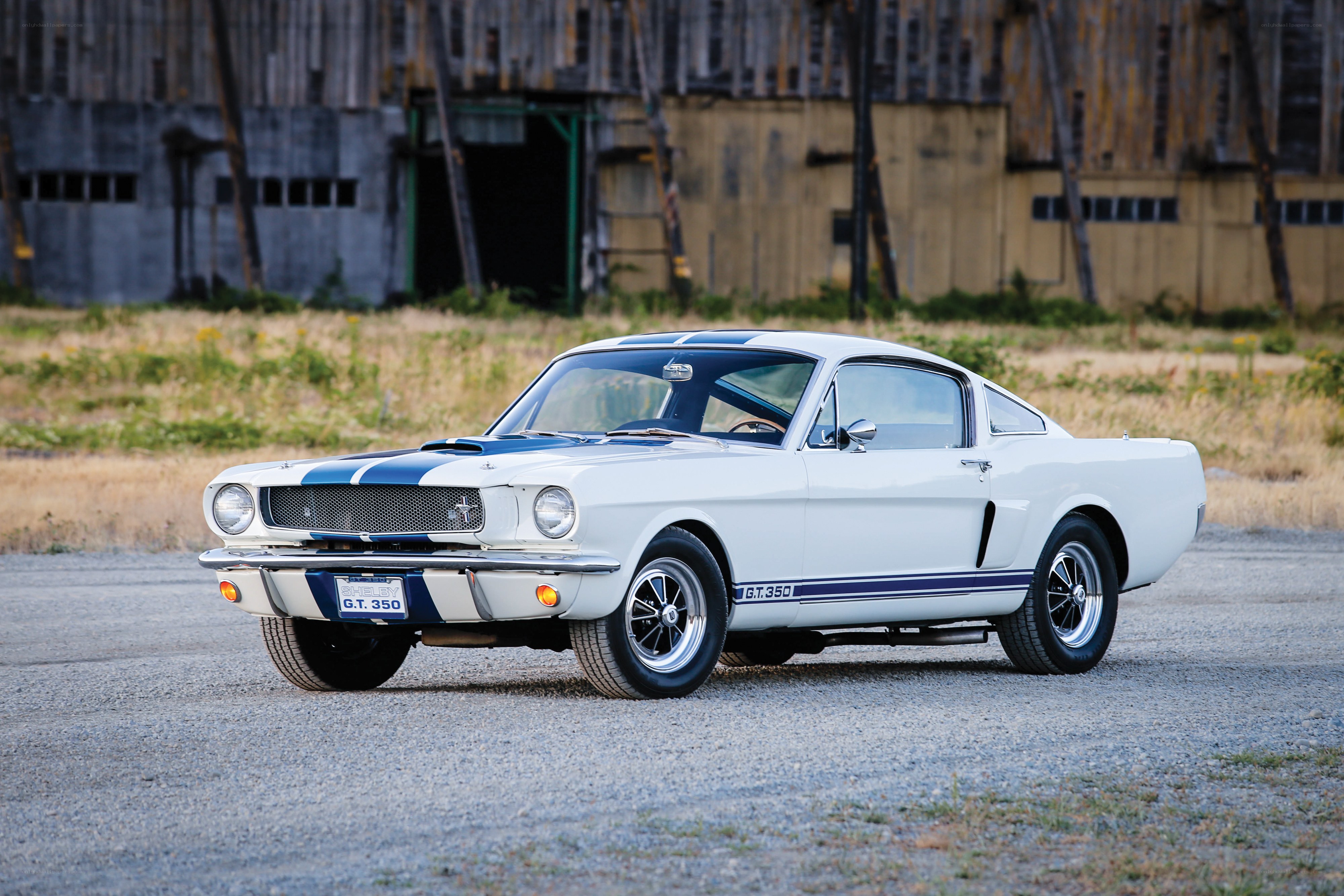 White Shelby GT350 Mustang