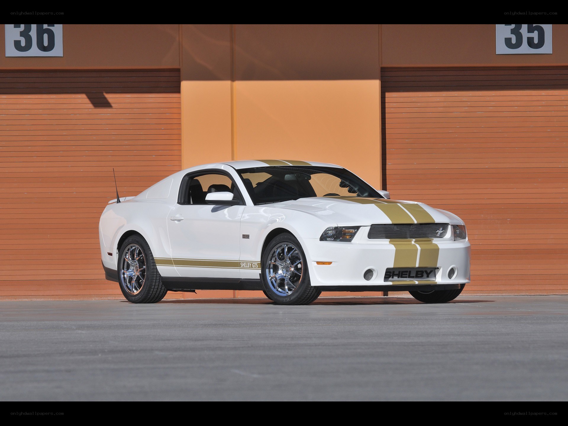 White Shelby GT500 car