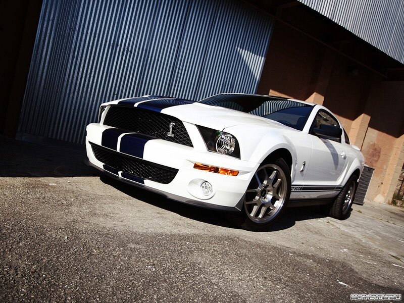 White Shelby GT500 — Dramatic, Afternoon, Photograph, Car