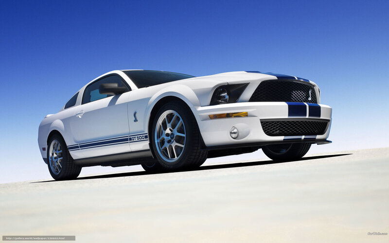 White Shelby GT500 — Dramatic