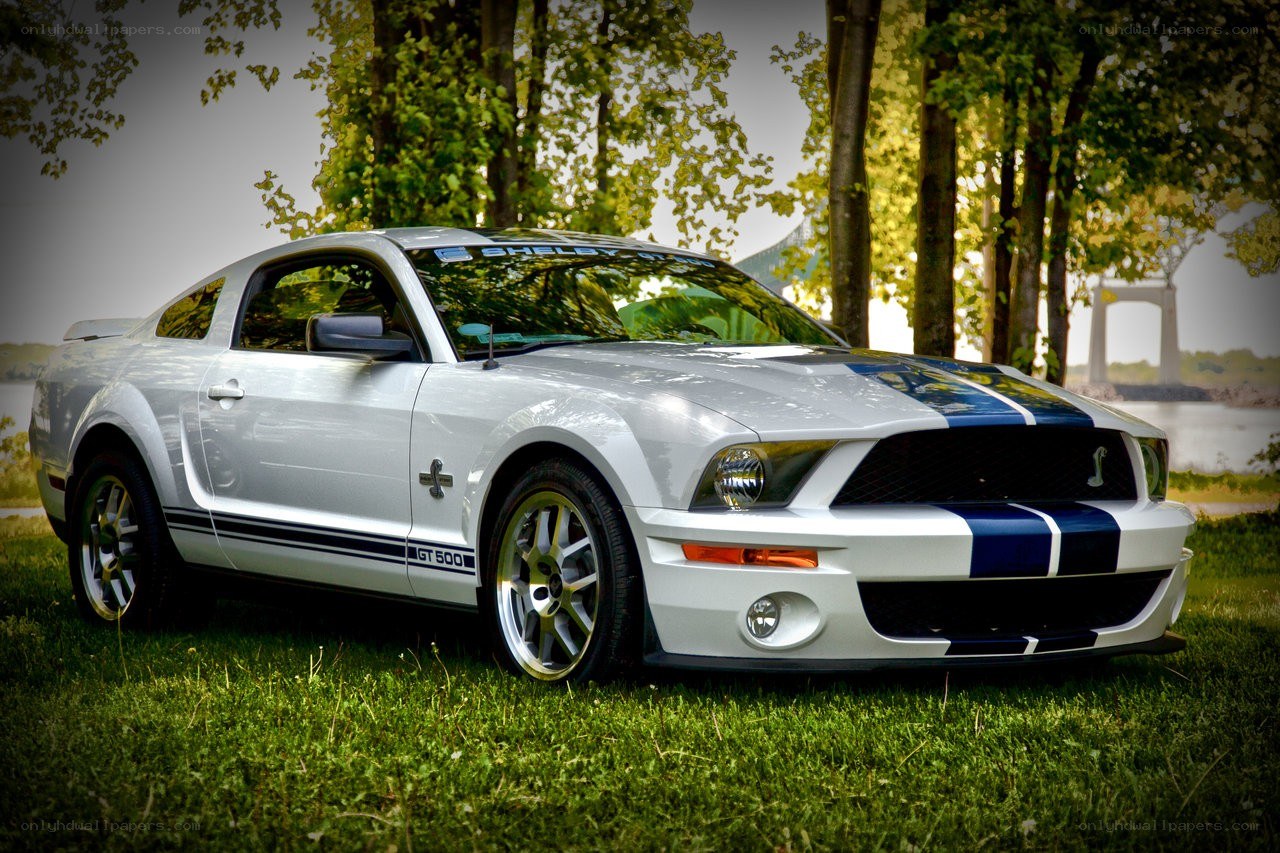 White Shelby GT500 on grass