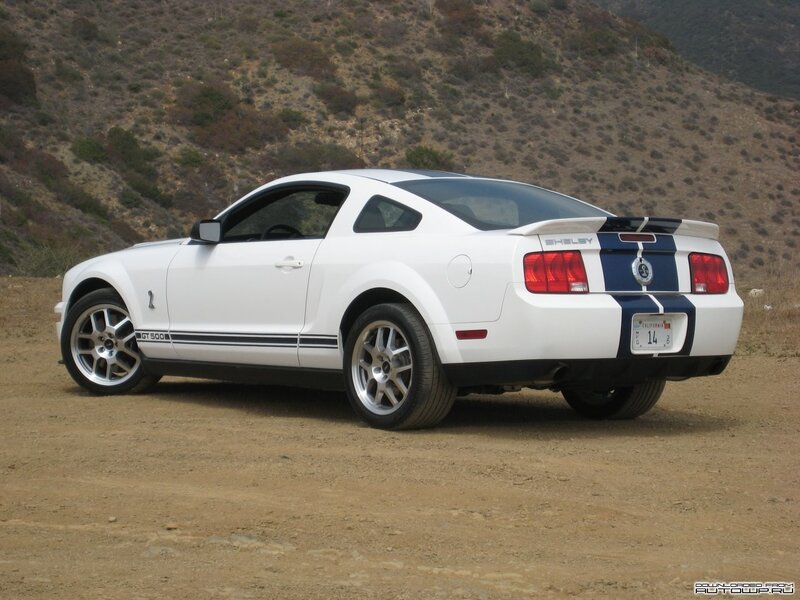 White Shelby GT500 — Outdoor, Afternoon