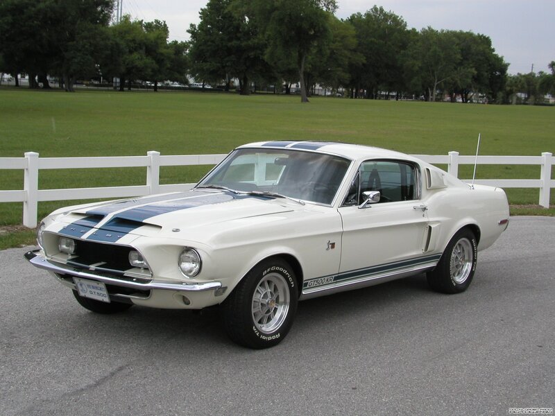 white Shelby GT500KR Mustang