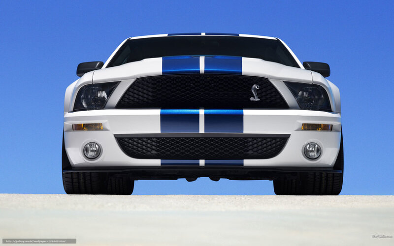 White Shelby Mustang — Dramatic