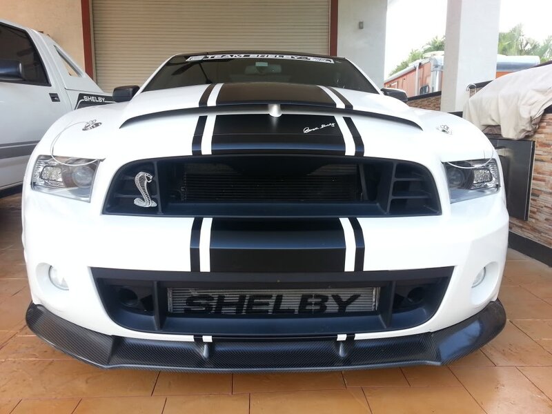 White Shelby Mustang — Neutral, Afternoon