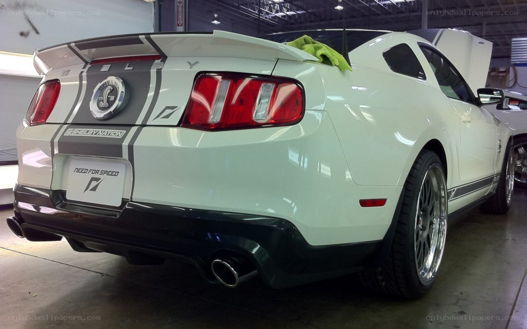 white shelby mustang rear view