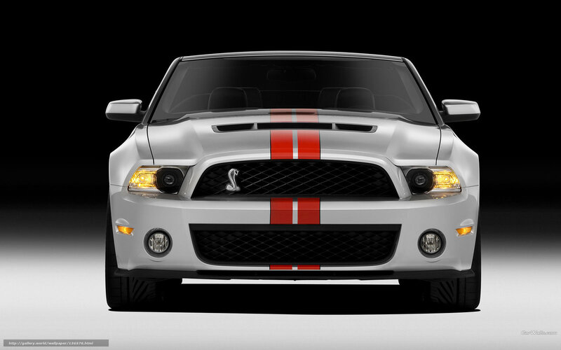 White Shelby Mustang with red stripes