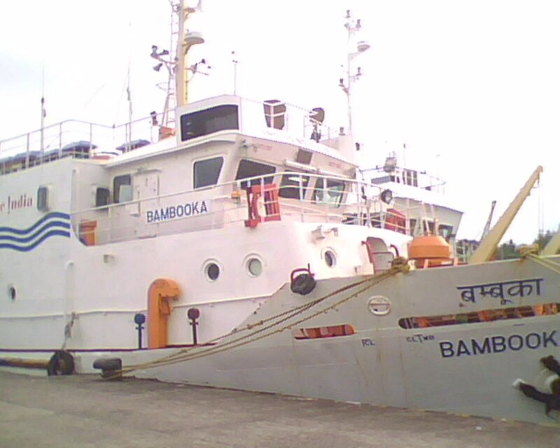 White Ship at Dock