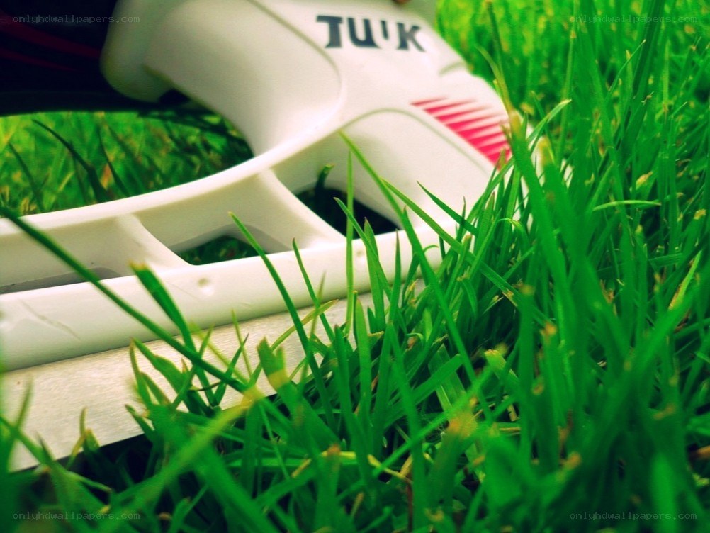 white shoe on green grass