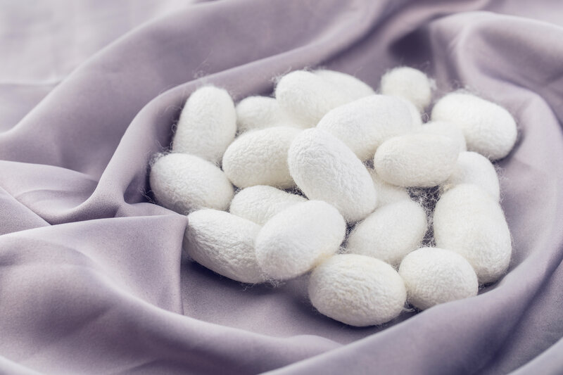 White Silk Cocoons