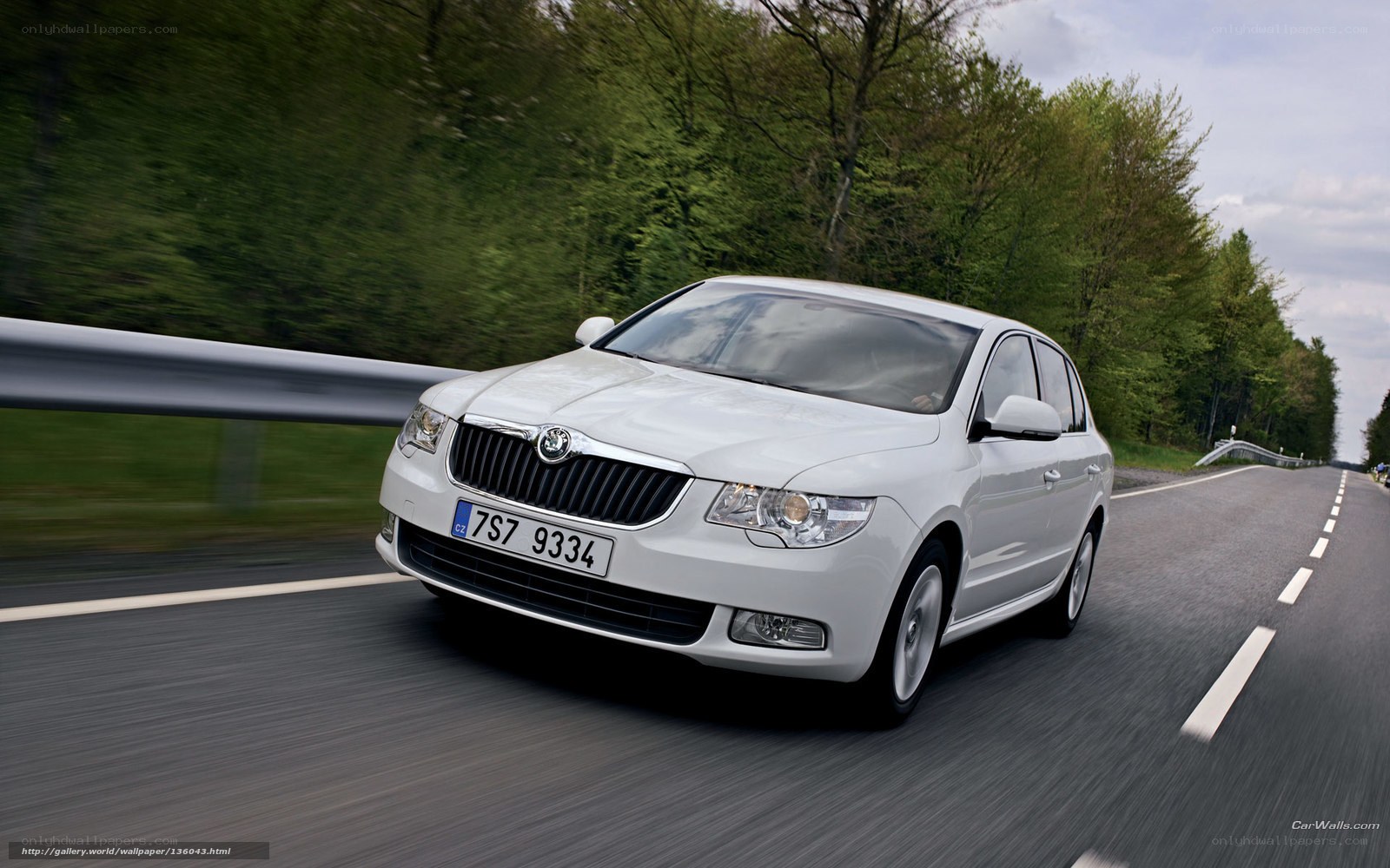 white skoda octavia in motion