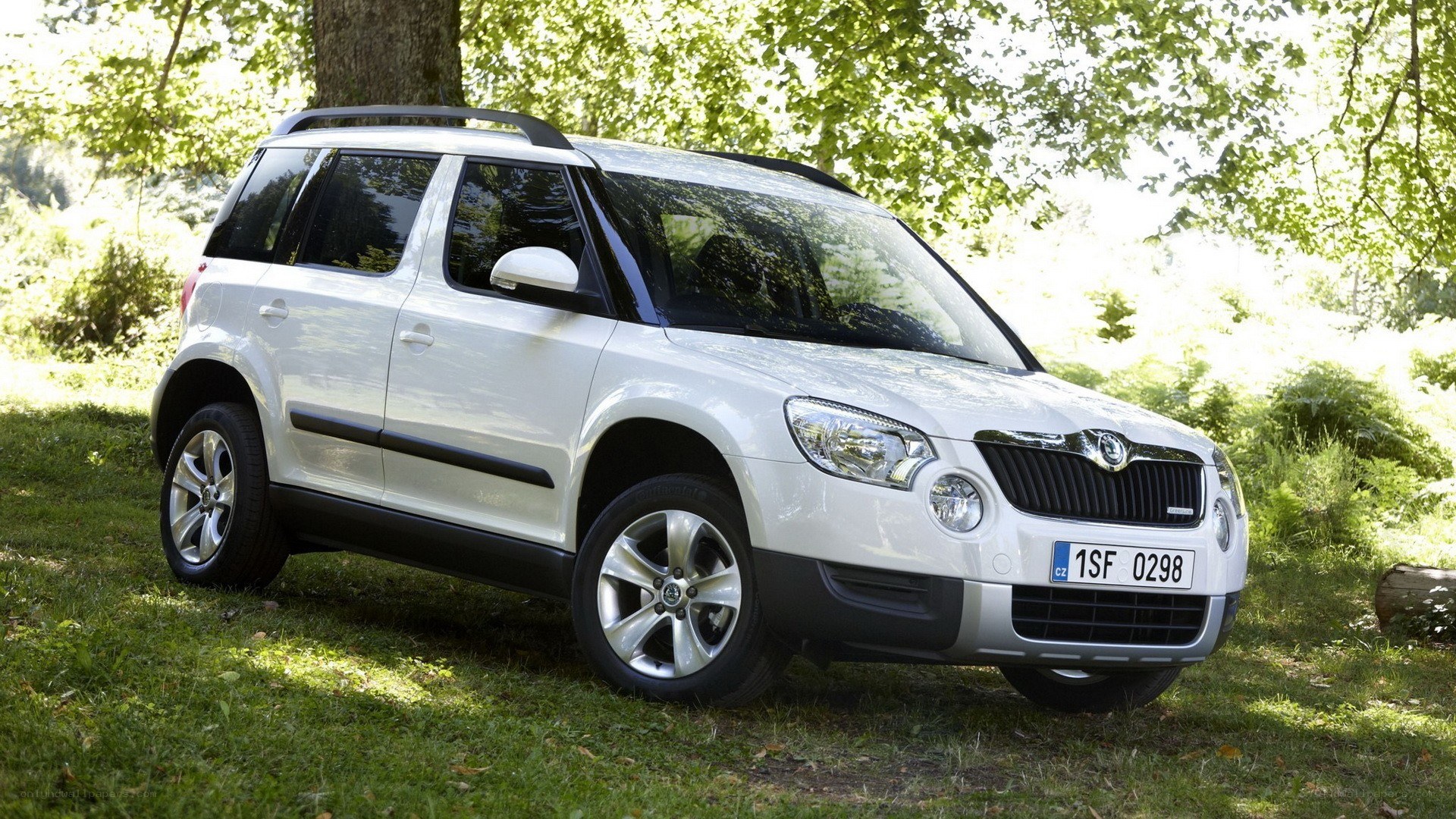 White Skoda Yeti in a forest