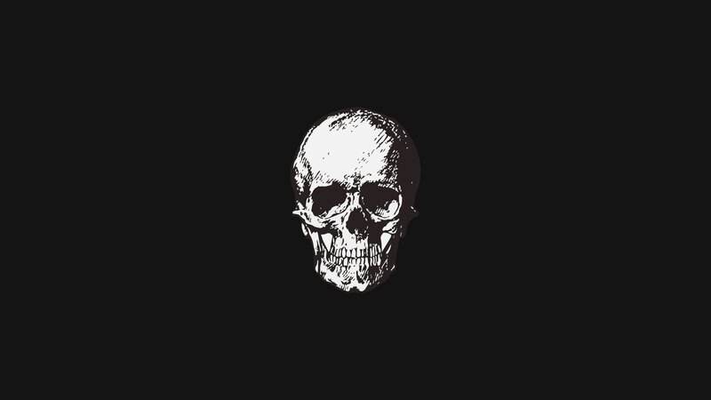 White Skull Illustration