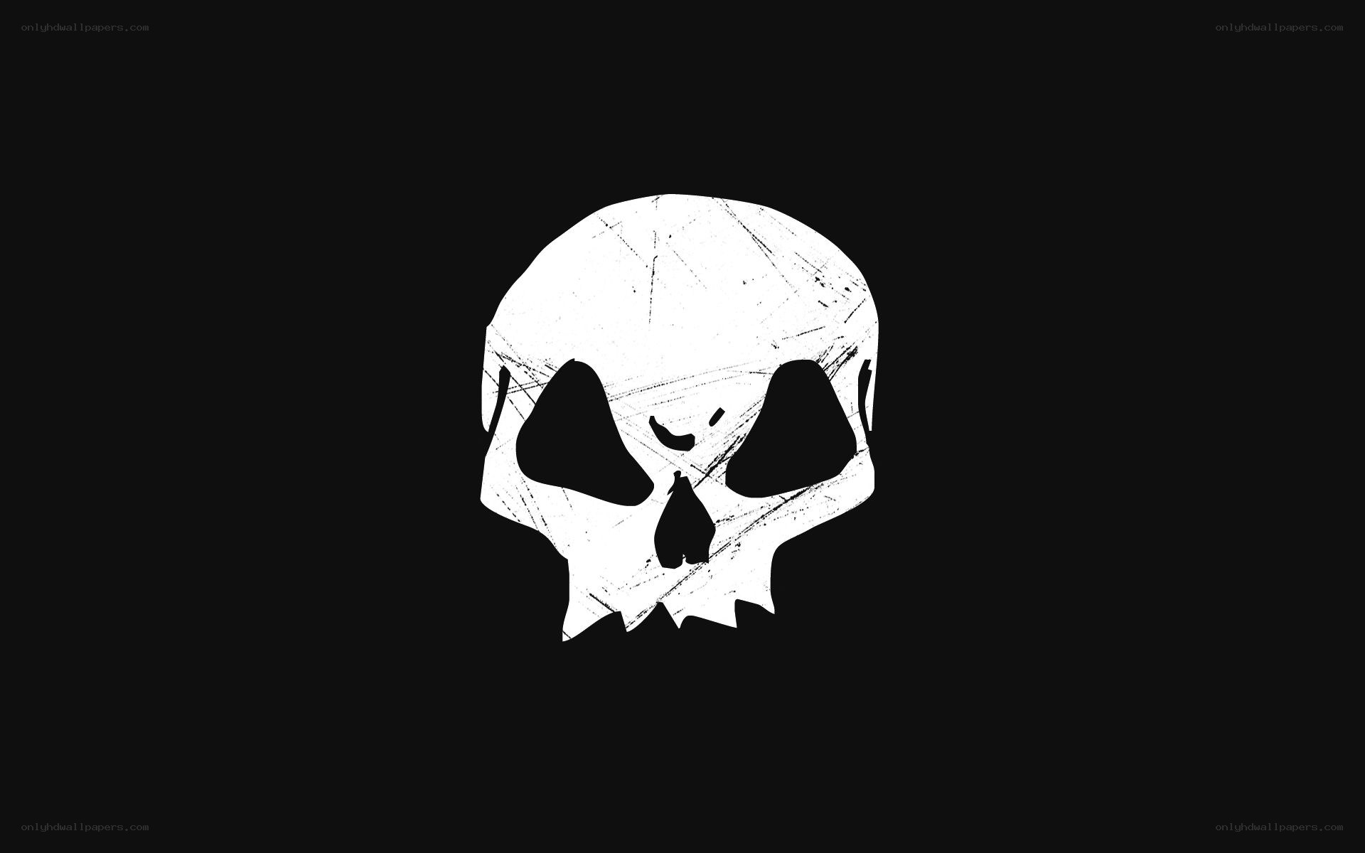 white skull on black background