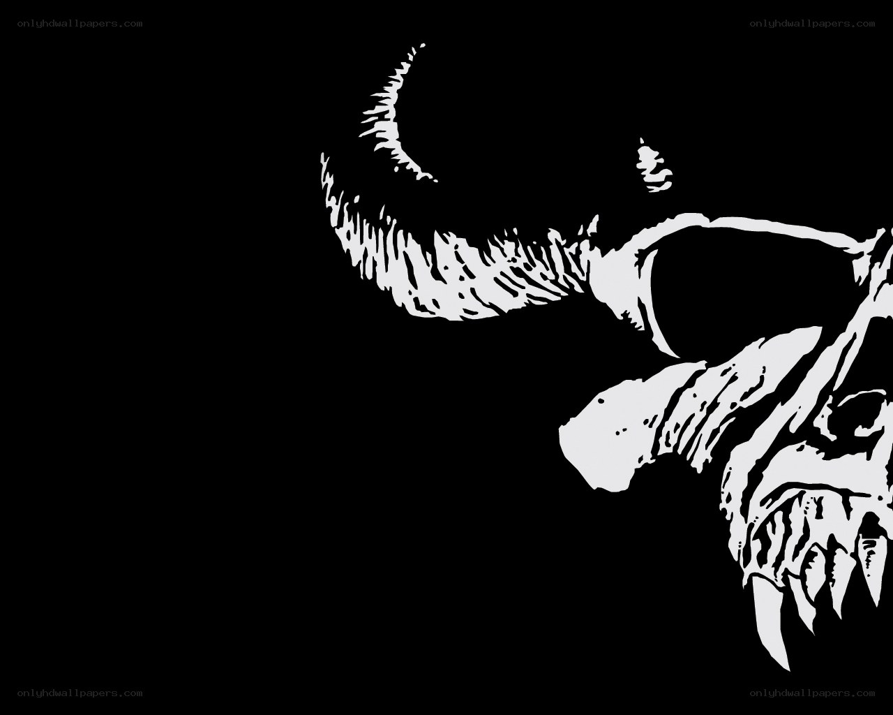 white skull on black background