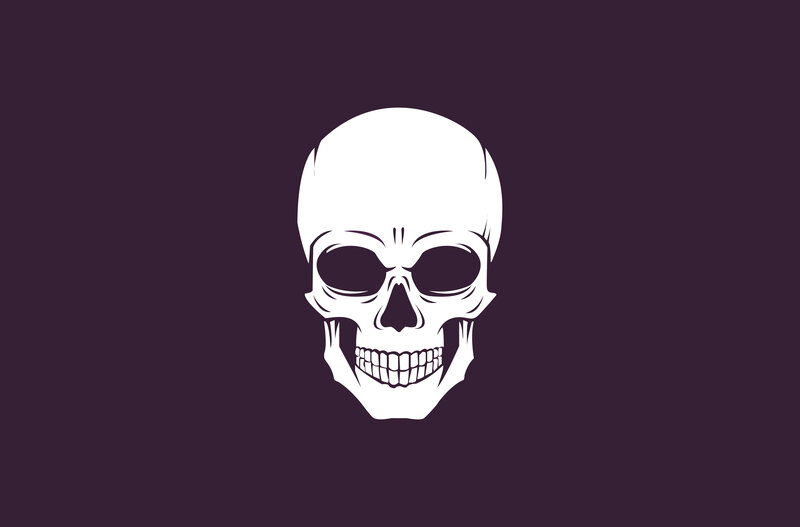 White Skull on Dark Background
