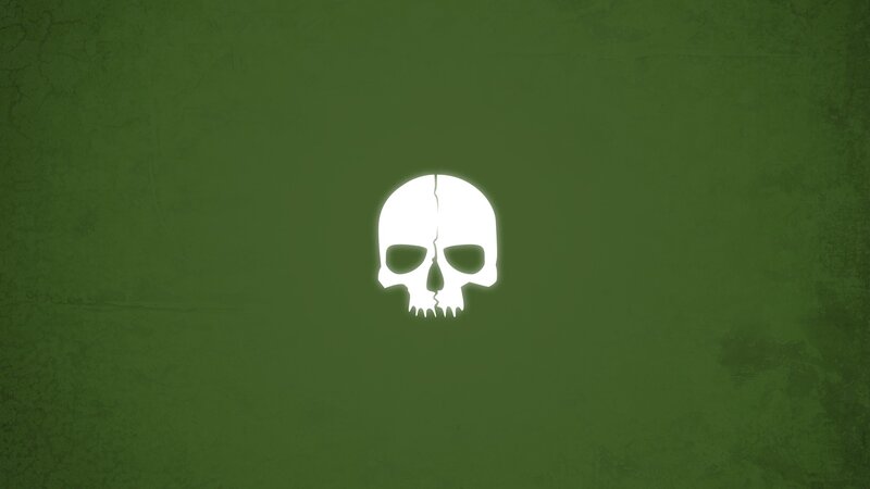 white skull on green background