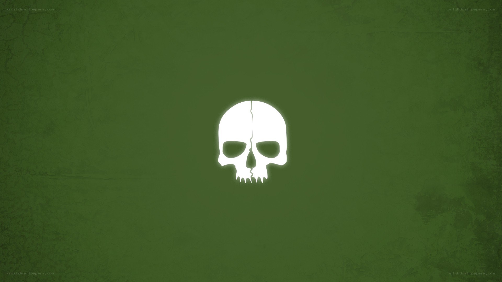 white skull on green background
