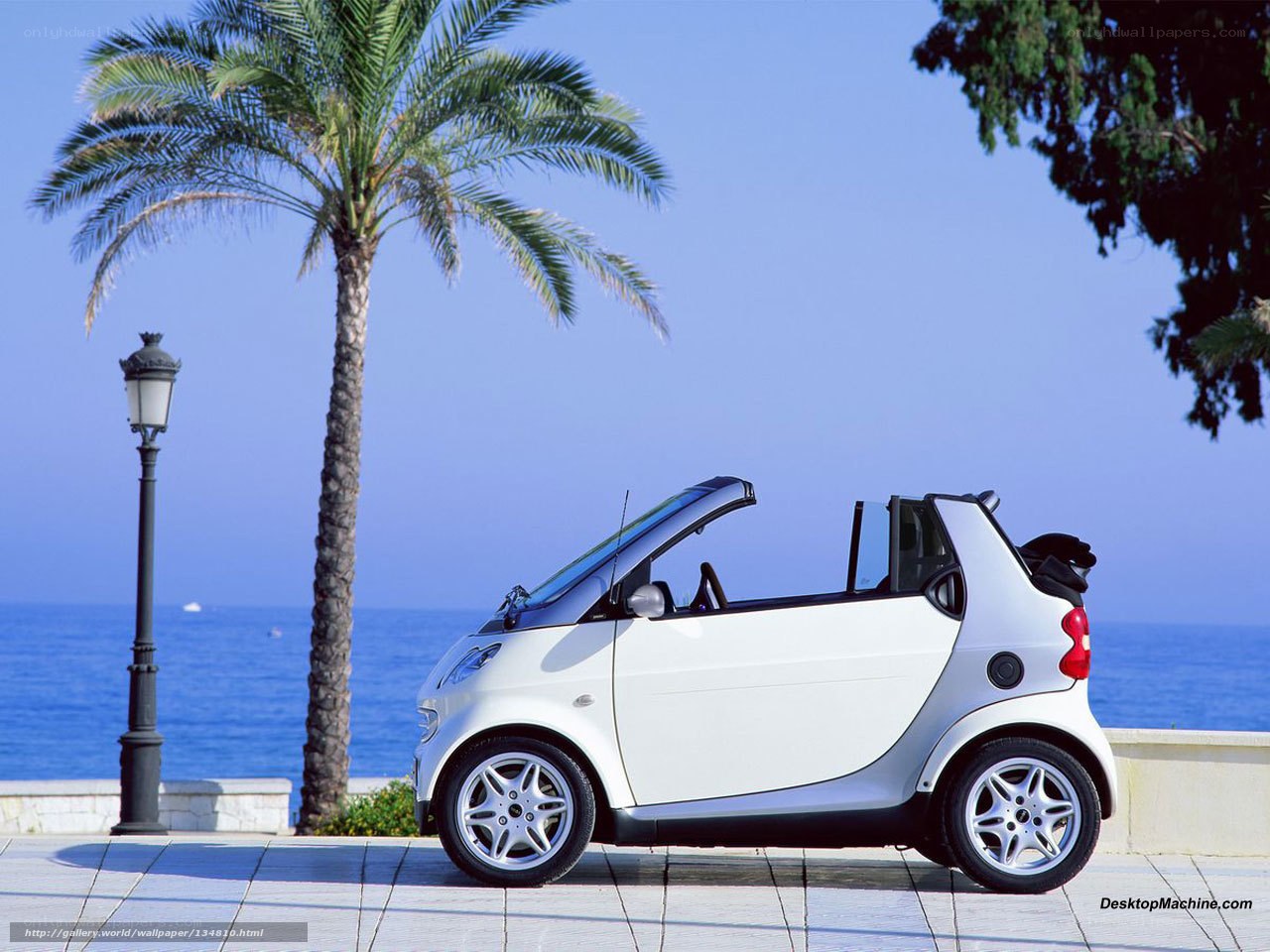 White smart car by the sea