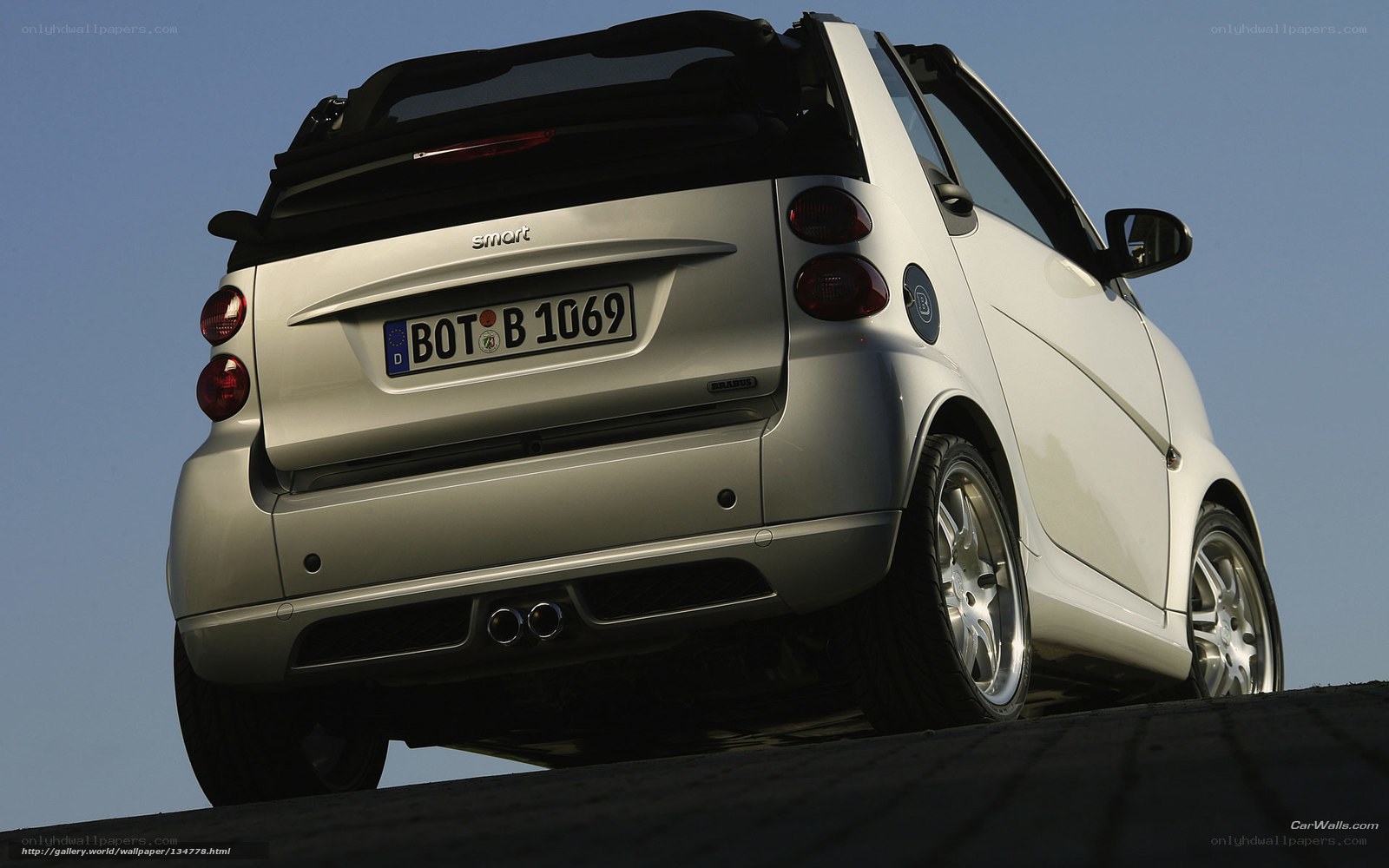 white smart car from rear view
