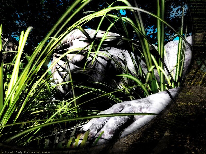 White Snake in Grass