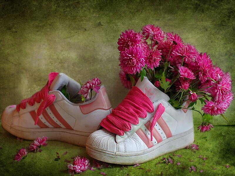 White Sneakers with Flowers