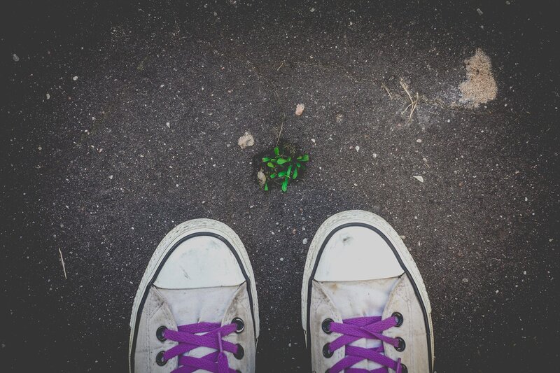 White Sneakers with Purple Laces