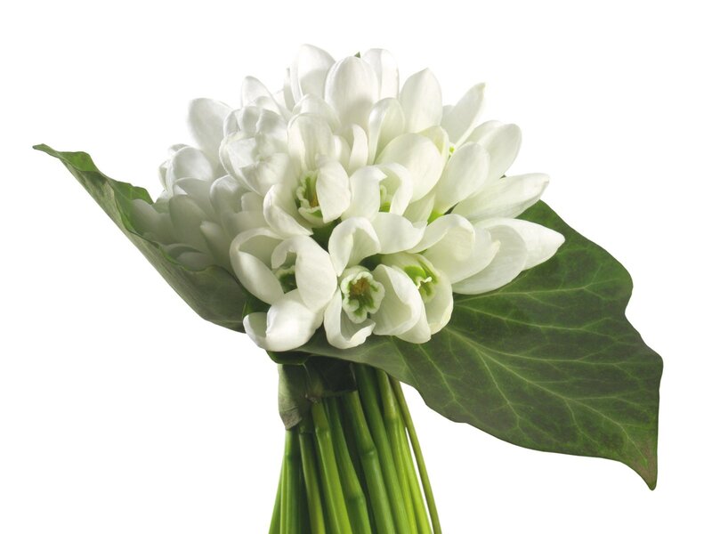 white snowdrop bouquet