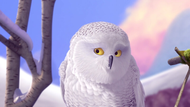White Snowy Owl