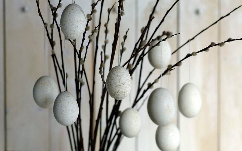 White Speckled Eggs on Branches — Serene
