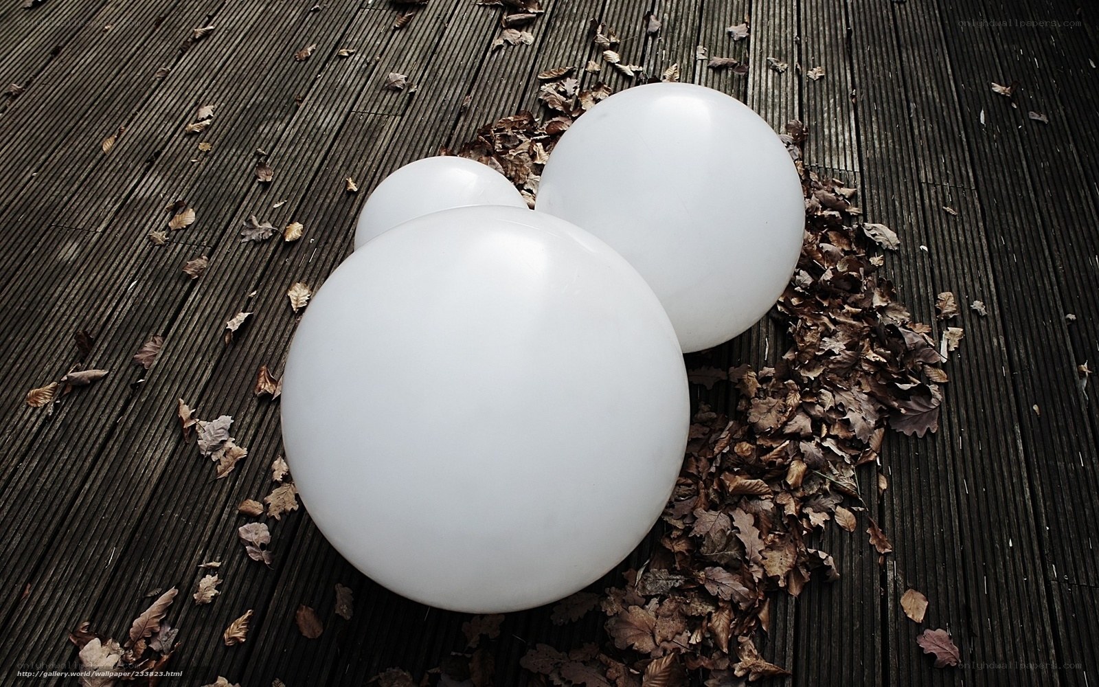 White spheres on wooden deck